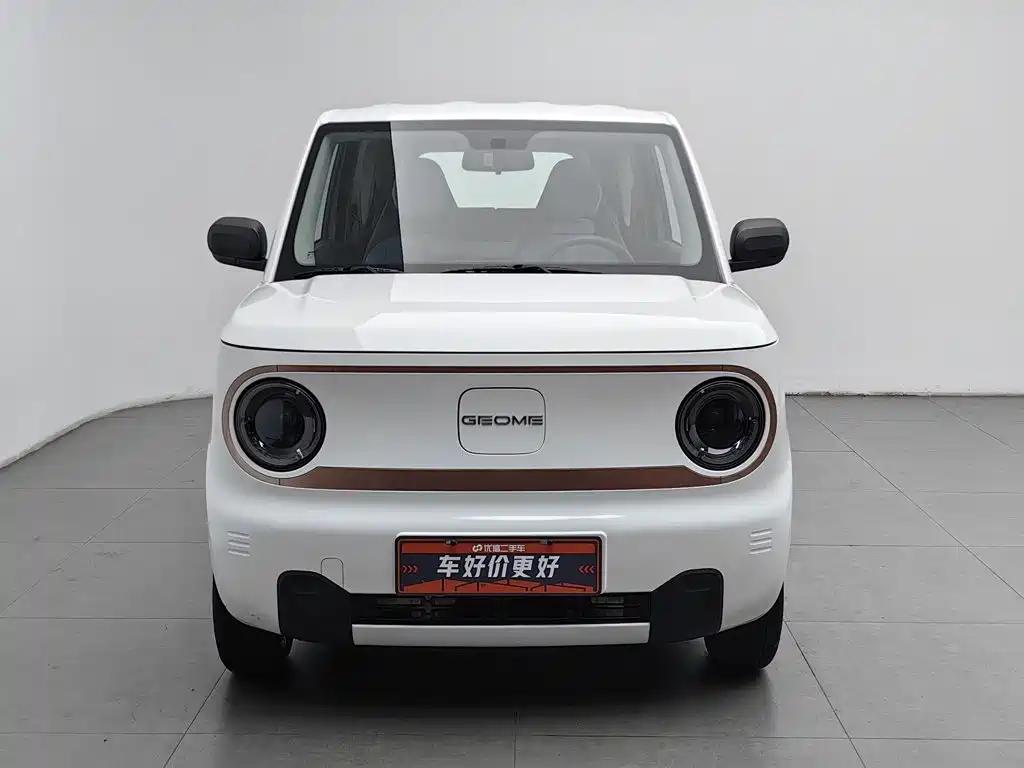 Фото 3 - Geely Galaxy Panda