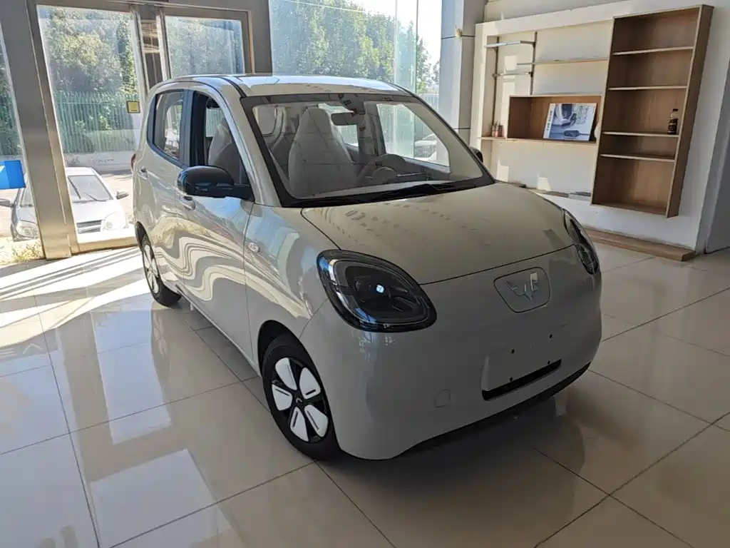 Фото 4 - Wuling Motors Hongguang MINIEV