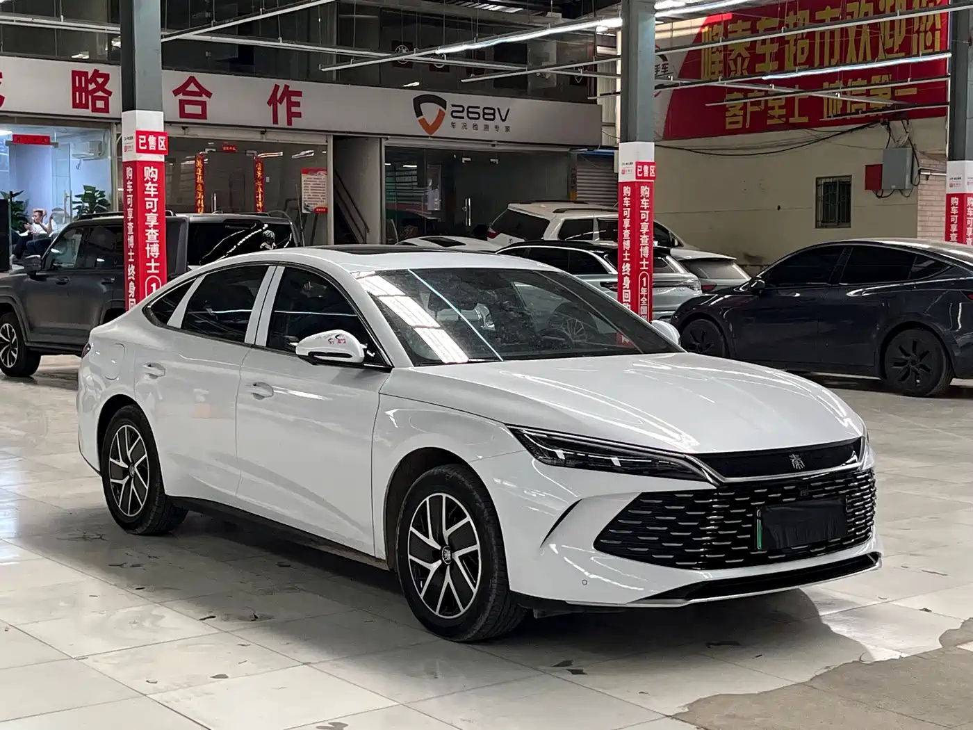 BYD QIN L
