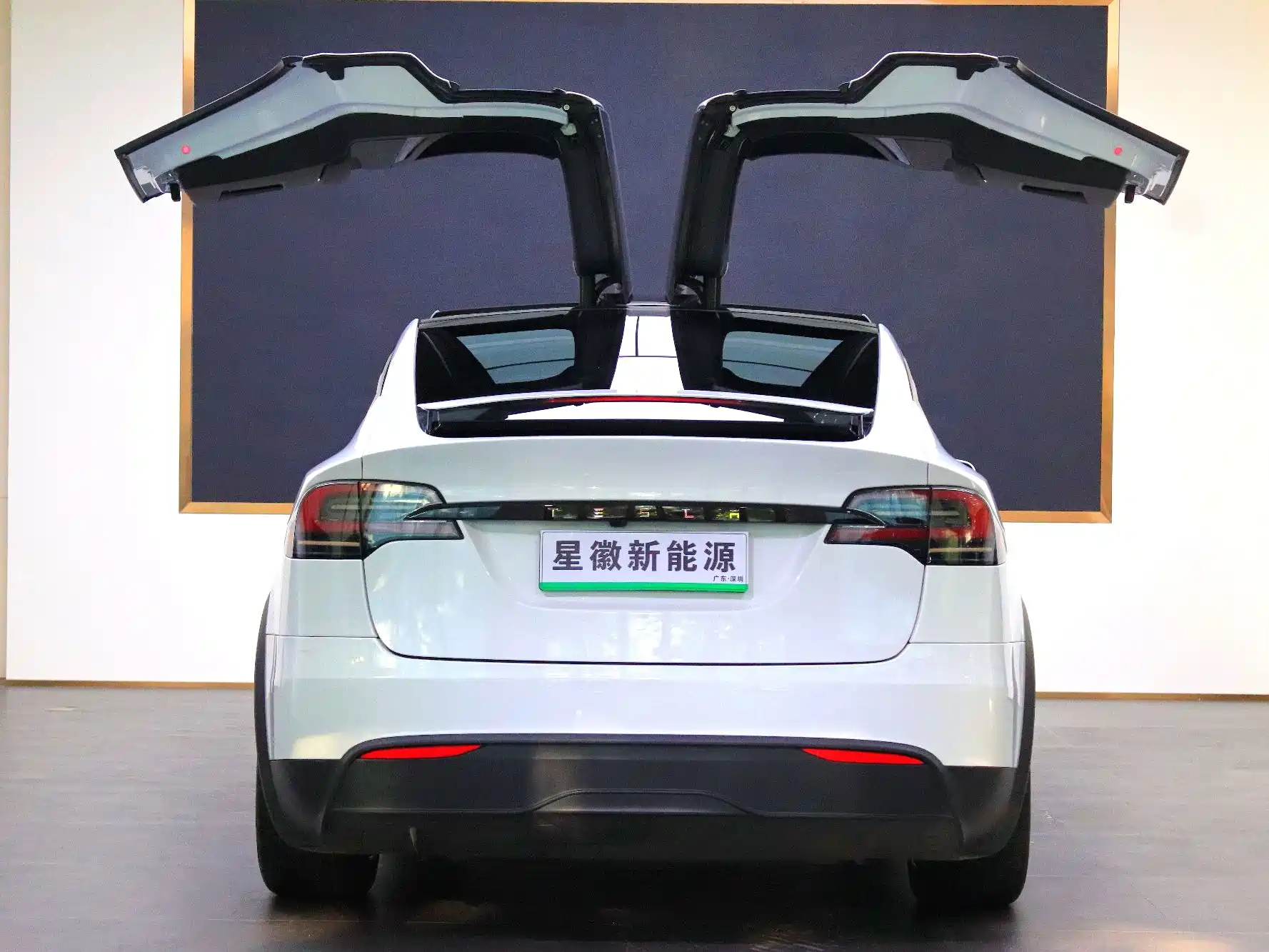 Фото 18 - Tesla Model X