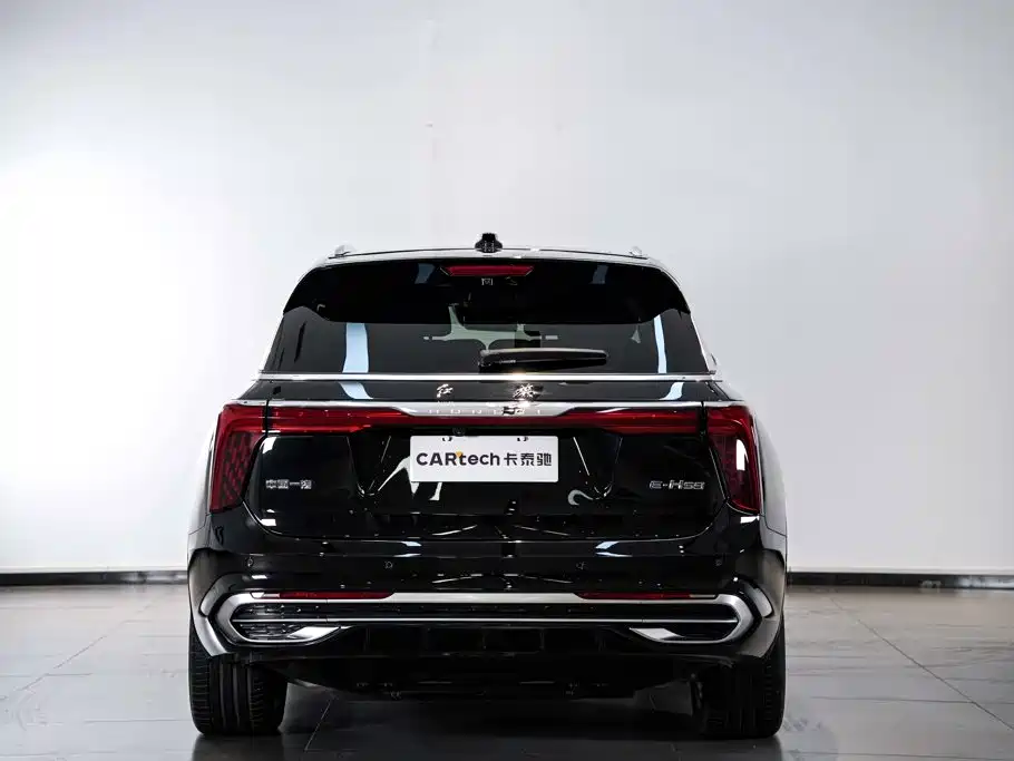 Photo 6 - Hongqi E-HS9
