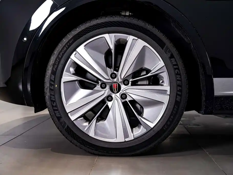 Photo 10 - Hongqi E-HS9