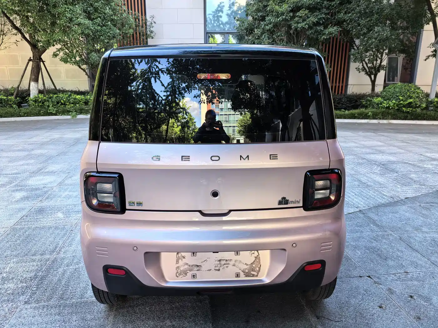 Geely Galaxy Panda 2023 2023 Panda Mini 200km Endurance Bear