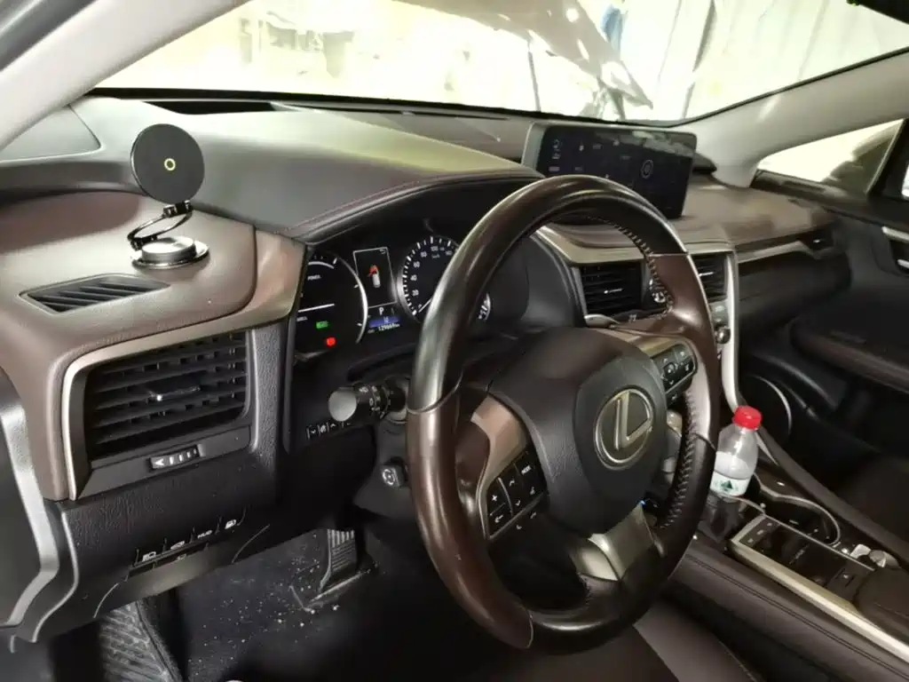 Фото 10 - Lexus RX