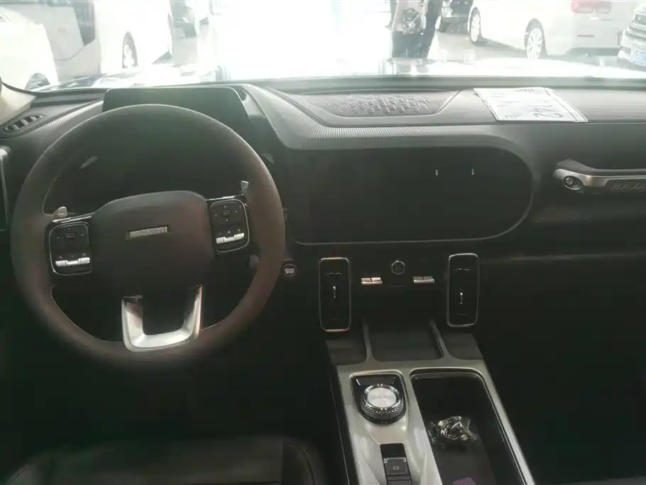 Haval Big Dog 2021 1.5T DCT 2WD Labrador Edition фото 12