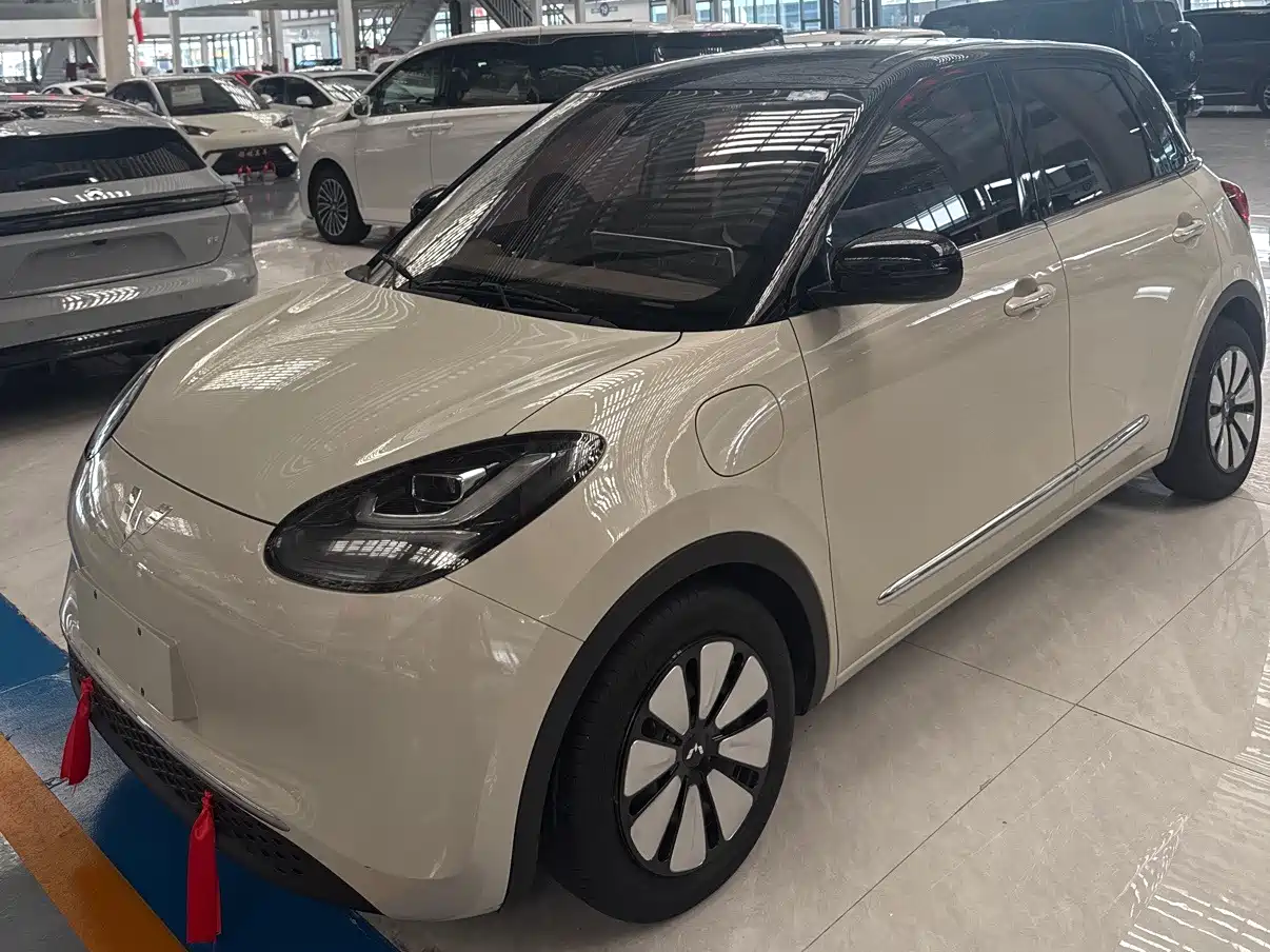 Wuling Motors Wuling Bingo 2023 Model 333km Joy+ Version