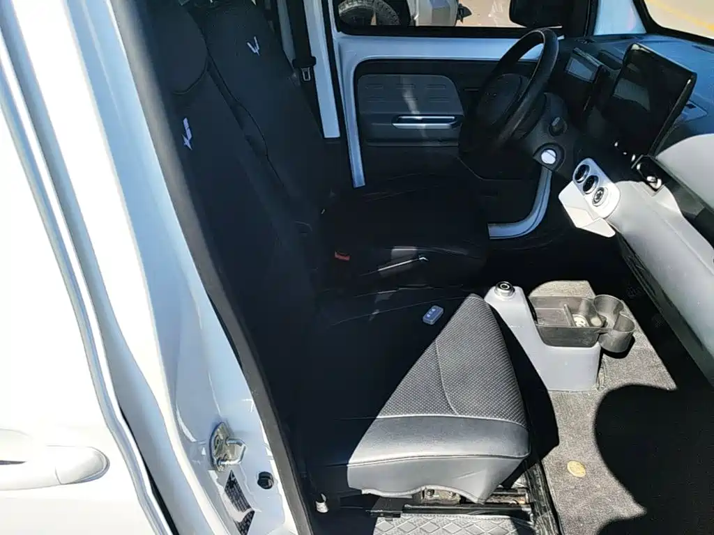 Wuling Motors Wuling Zhiguang NEV 2026 2025 Model 305km Base Version