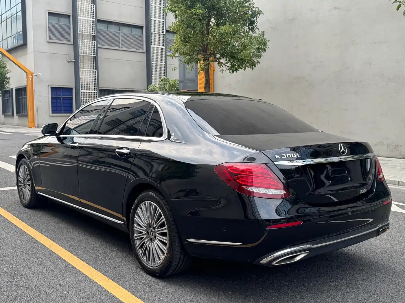 Mercedes-Benz E-Class 2020 Facelift E 300 L Exclusive фото 6