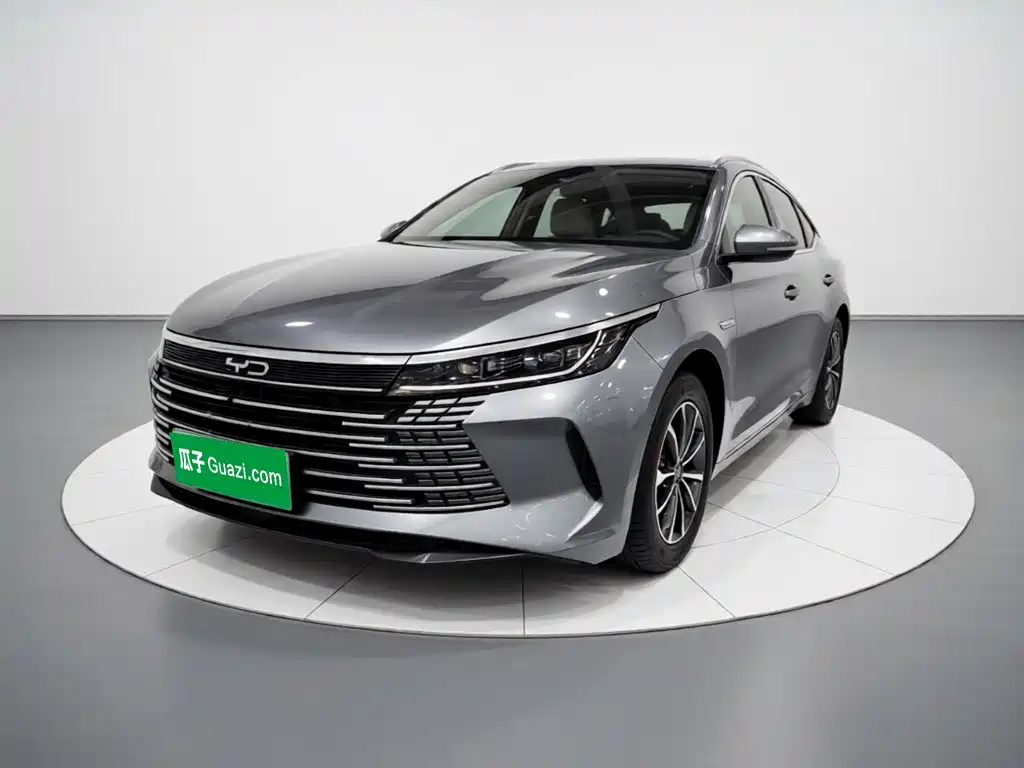 BYD Destroyer 05 2025 2024 Glory Edition DM-i 55KM Luxury