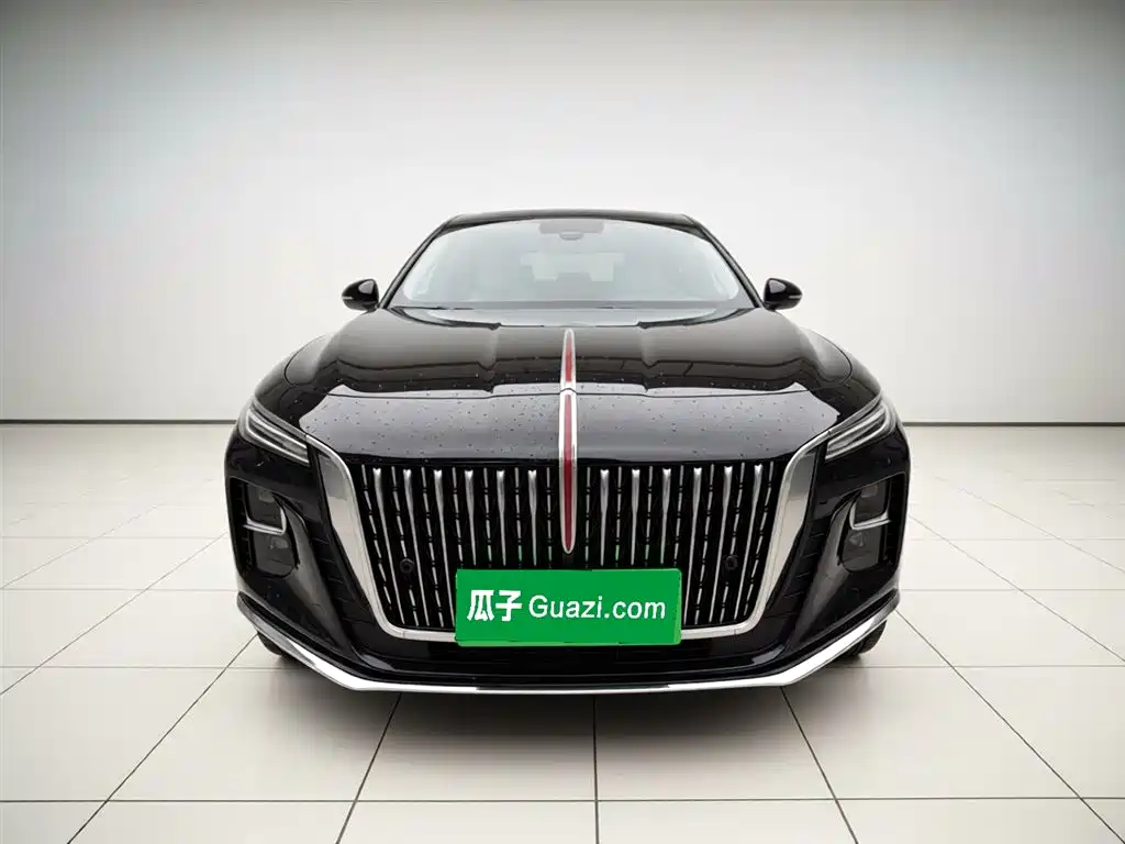 Hongqi H5 2023 1.5T DCT Smart Connect Flag Rhythm фото 24