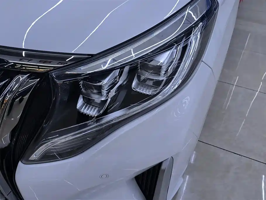 GAC Trumpchi Trumpchi M8 2021 Master Series 390T Ultimate Edition фото 5