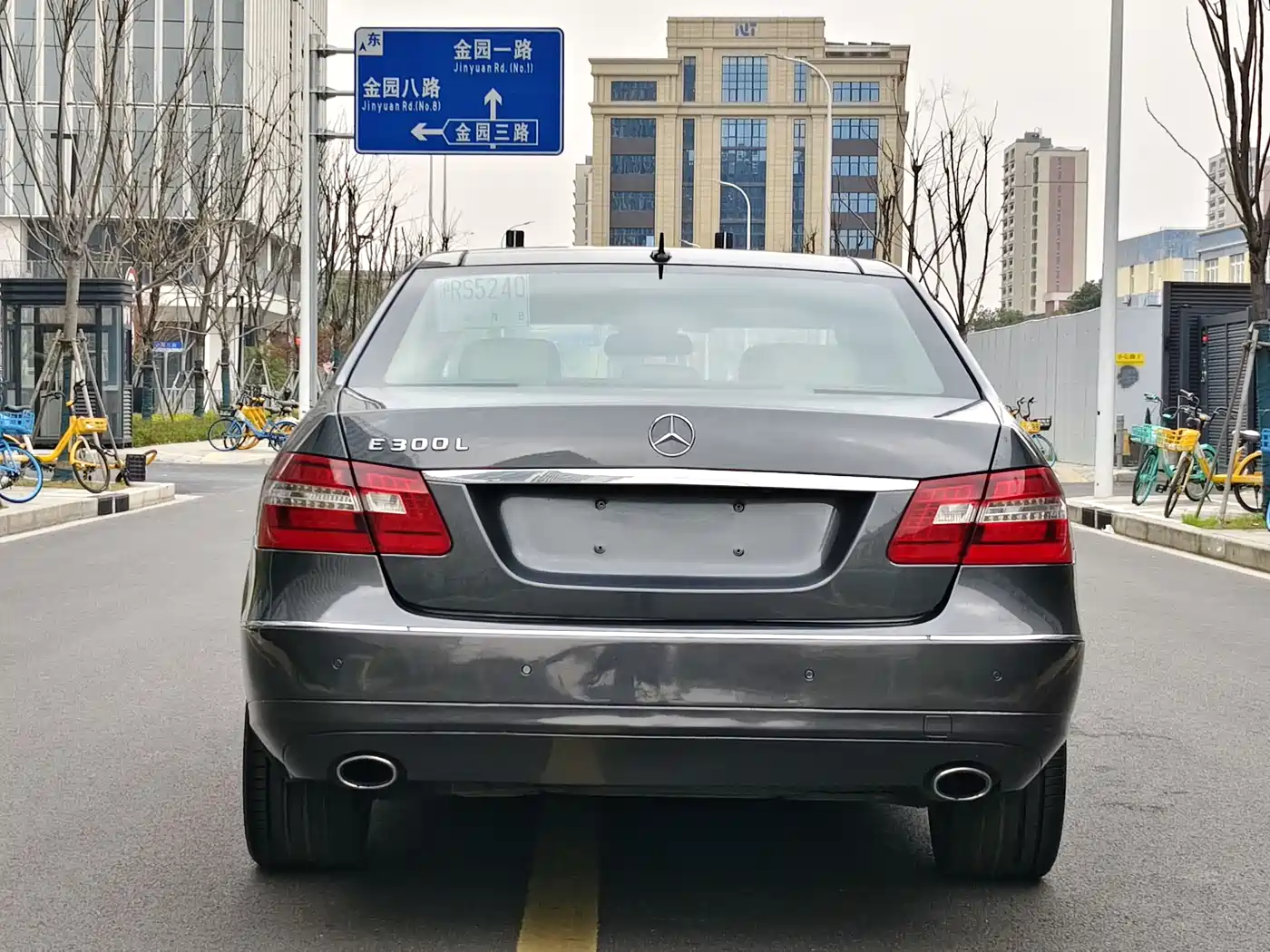 Mercedes-Benz E-Class 2010 E 300 L Fashion фото 5