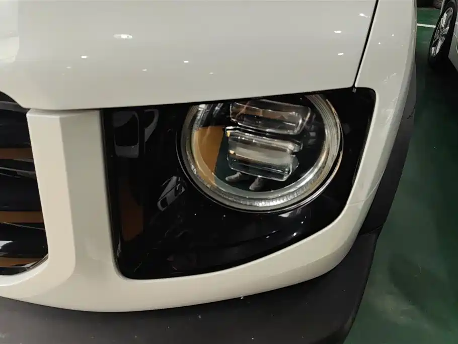 Haval Big Dog 2021 2.0T DCT 4WD Chinese Rural Dog Edition фото 5