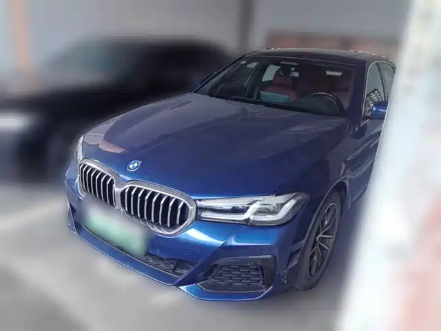 BMW 5 Series New Energy 2022