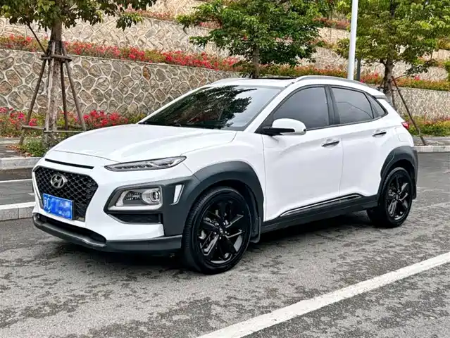 HYUNDAI ENCINO