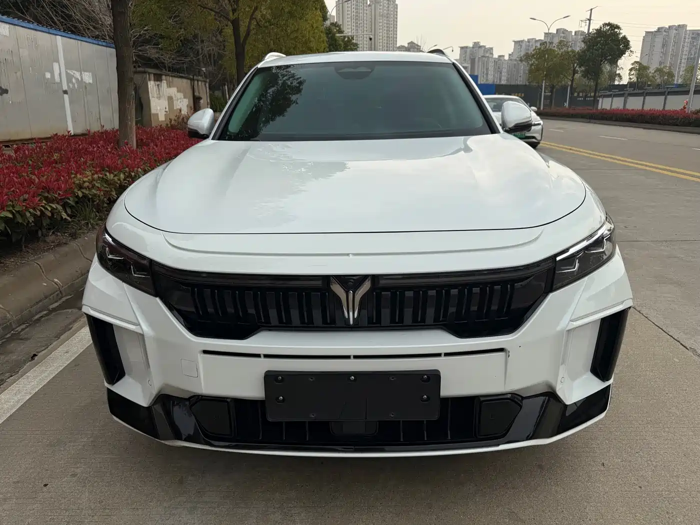 Voyah Auto VOYAH FREE 2024 Ultra Long Range Intelligent Driving Edition фото 6