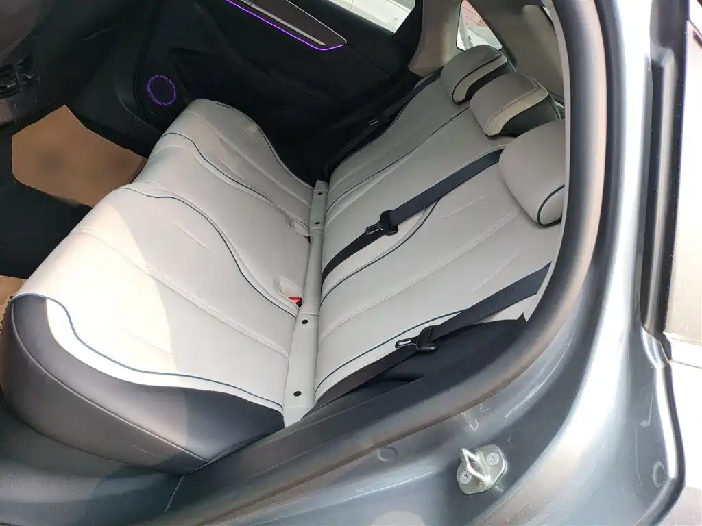 BYD Destroyer 05 2023 Champion Edition DM-i 55KM Luxury фото 17