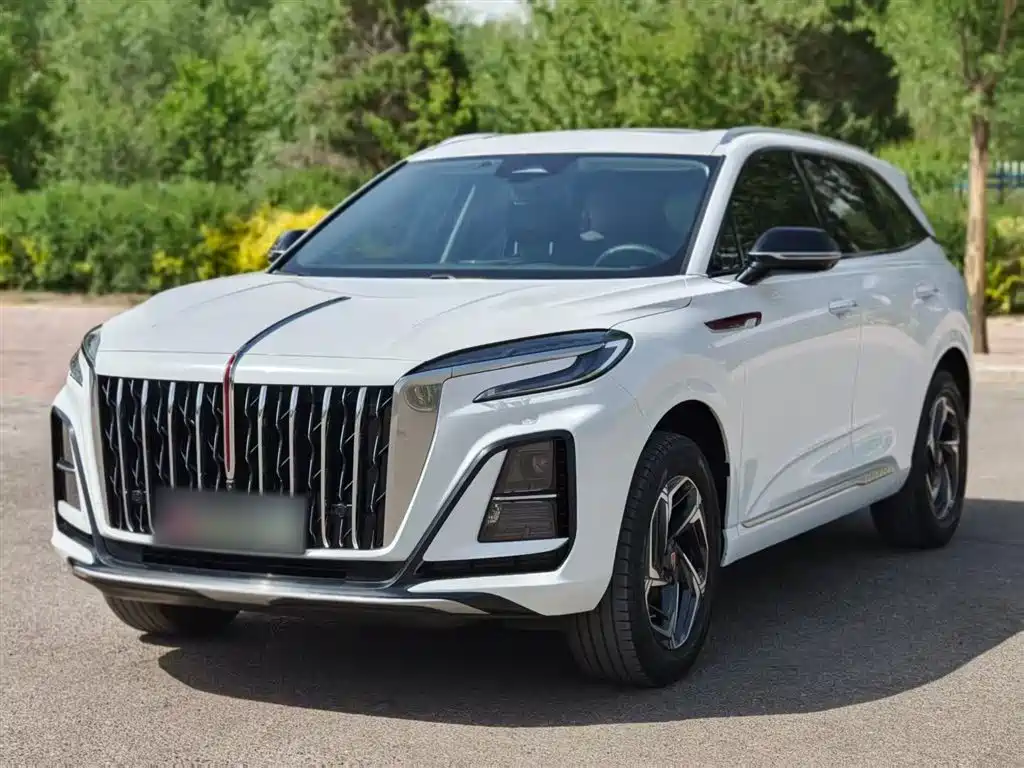 Hongqi HS3 2023 1.5T 2WD Virtue Edition фото 2