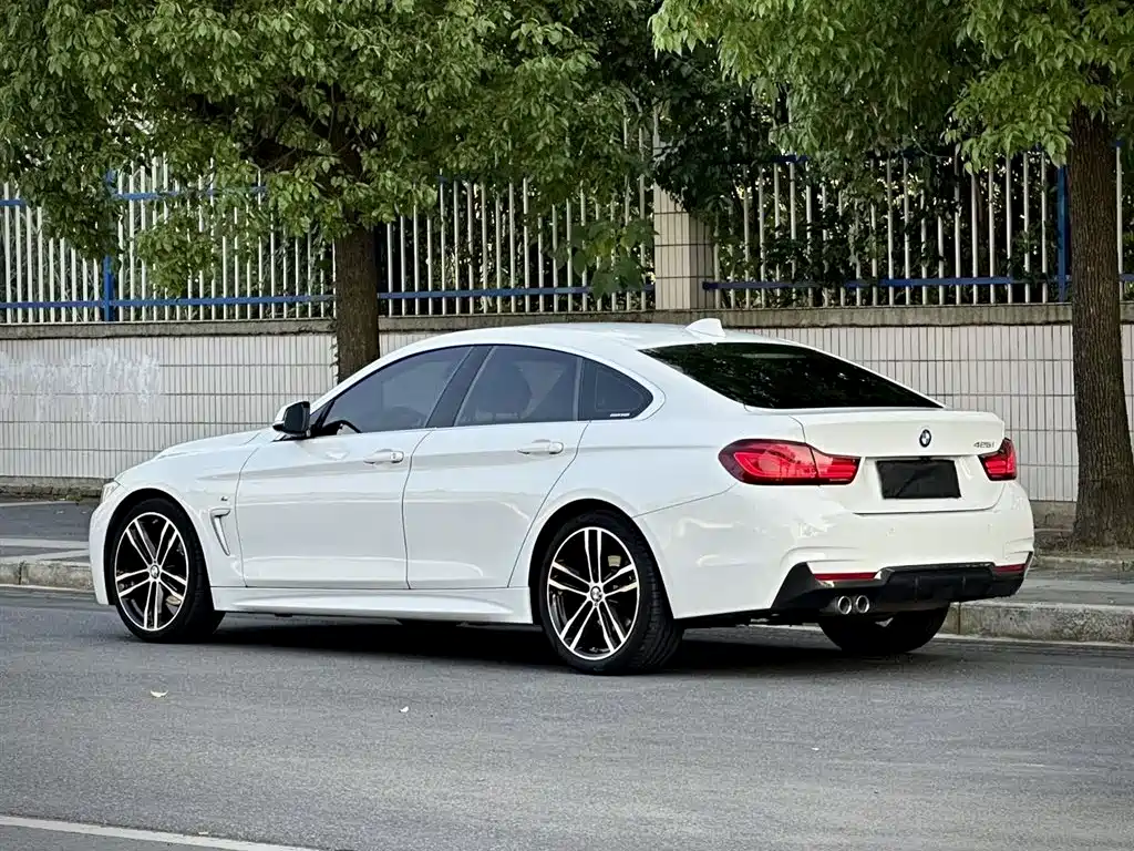 BMW 4 Series 2019 425i Gran Coupe M Sport Package фото 8