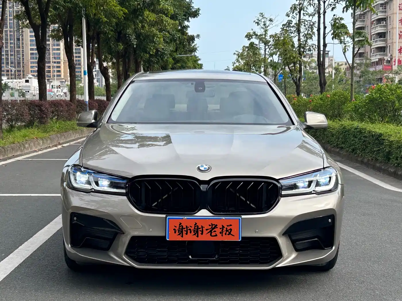 BMW 5 Series 2011 523Li Leading фото 5