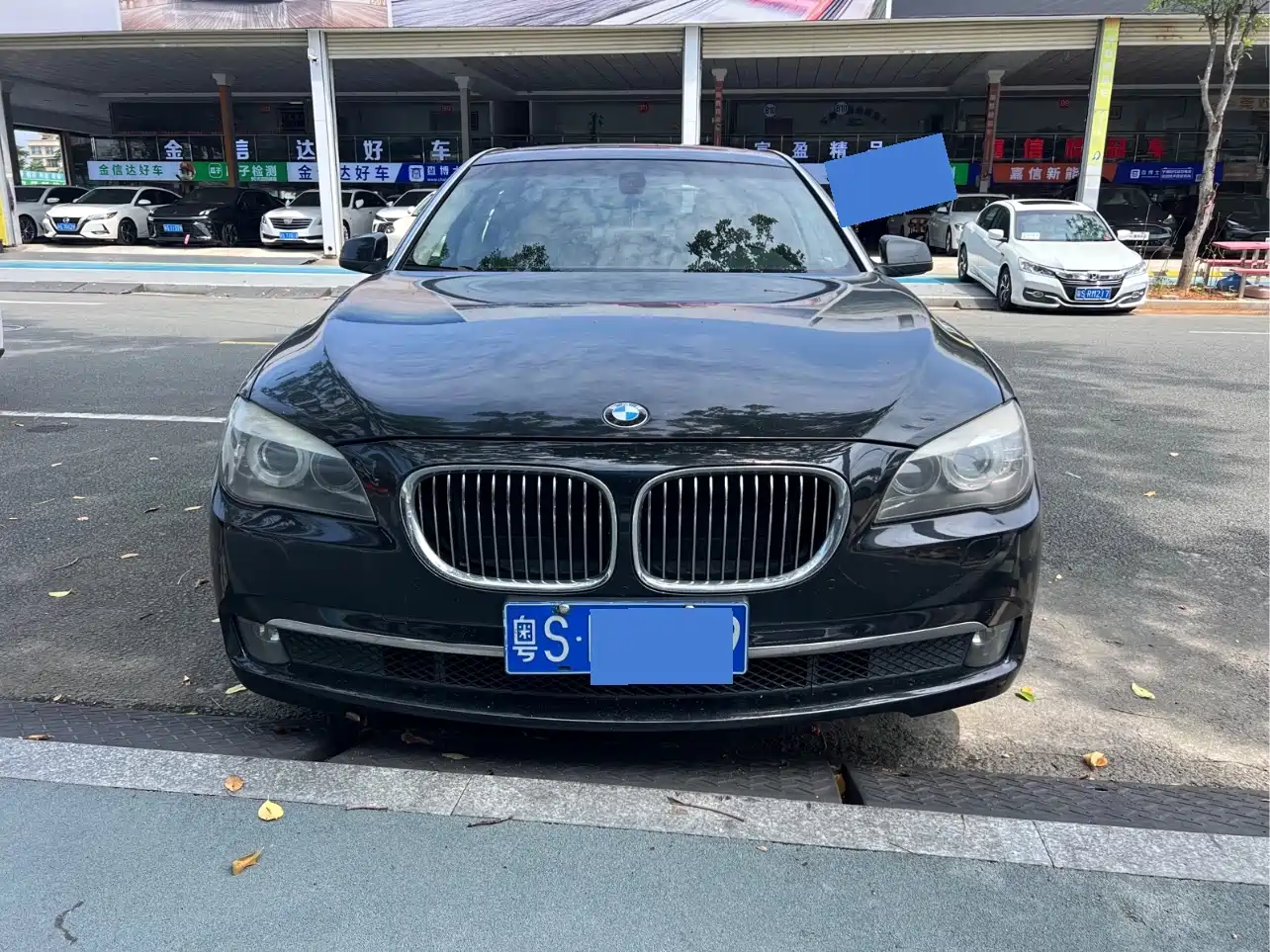 BMW 7 Series 2009 730Li Leading фото 2