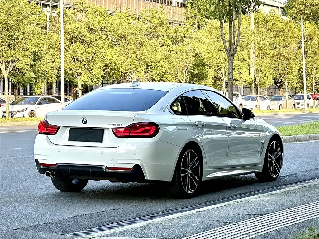 BMW 4 Series 2019 425i Gran Coupe M Sport Package фото 5
