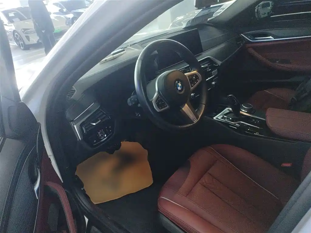 BMW 5 SERIES NEW ENERGY