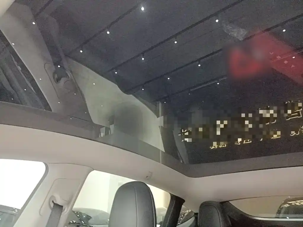 Tesla Model Y 2021 2021 Standard Range Rear-Wheel Drive