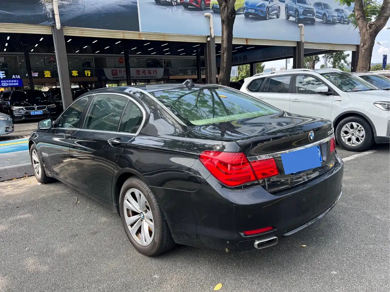 BMW 7 Series 2009 730Li Leading фото 8