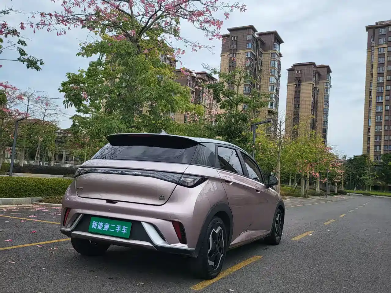 BYD Dolphin 2021 Model 405km Fashion Edition фото 9