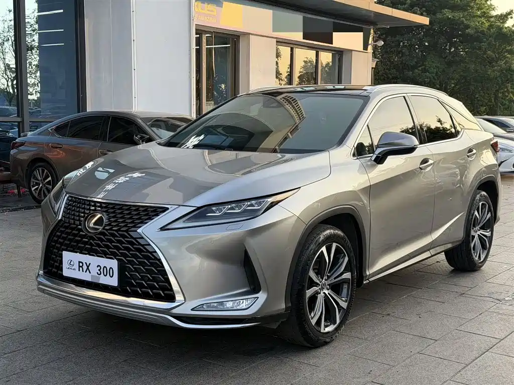 Lexus RX 2020 300 AWD Elegance Edition China V