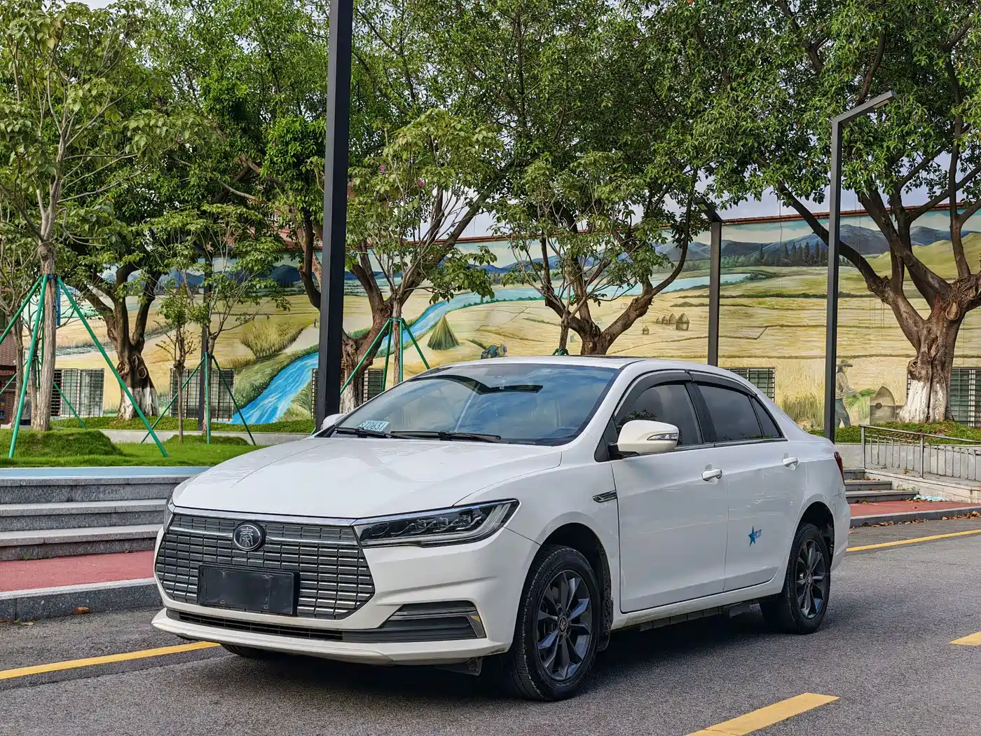 BYD Qin New Energy 2020 2019 Travel Edition