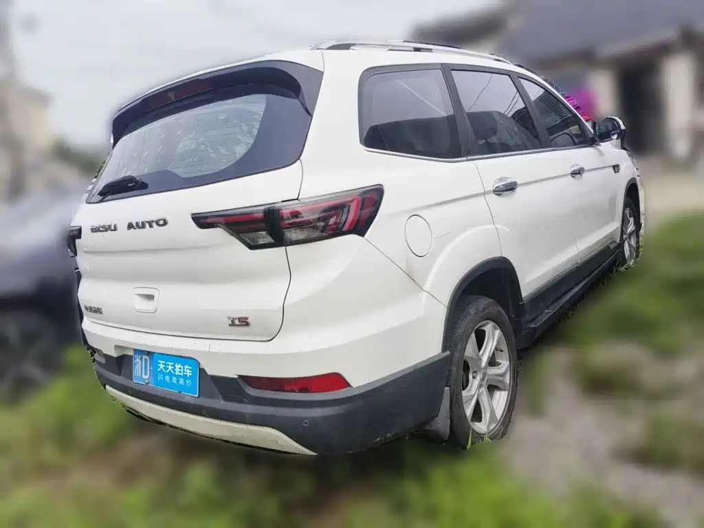 Bisu Auto Bisu T5 2017 2017 1.5T Manual Luxury
