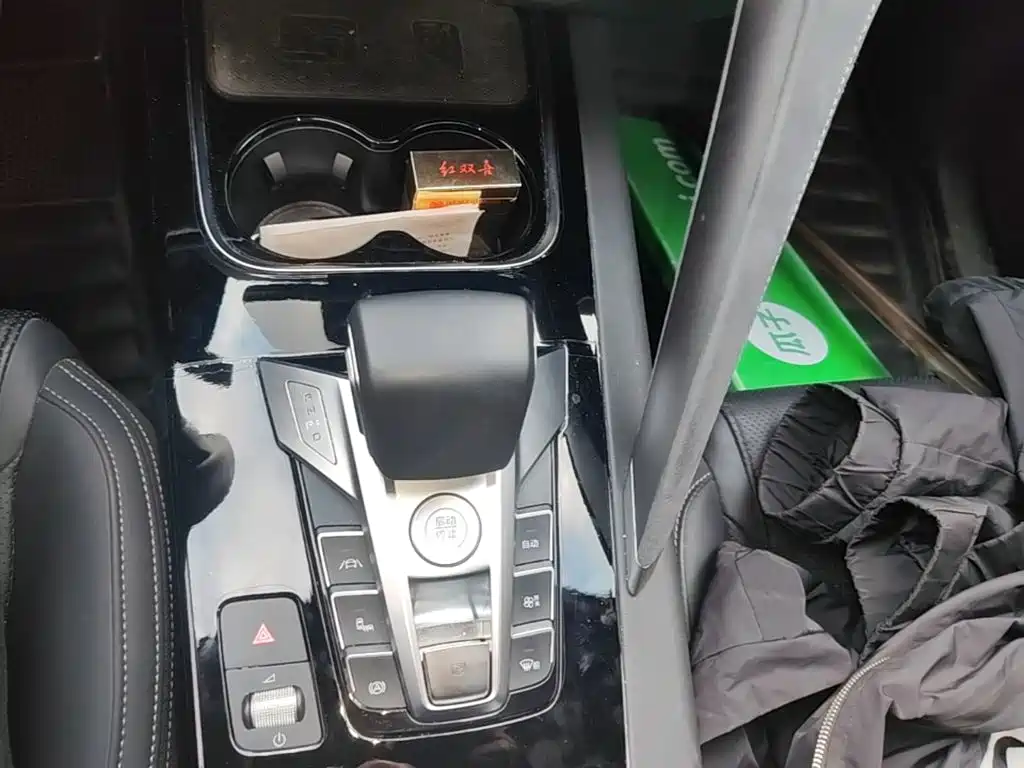 BYD Song Pro New Energy 2021 2019 DM 1.5T 4WD Performance Flagship