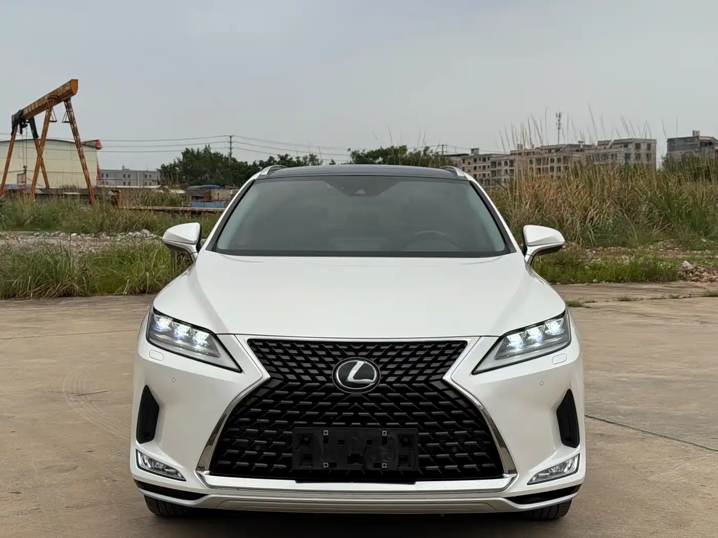 Lexus RX 2020 300 AWD Elegance Edition China V