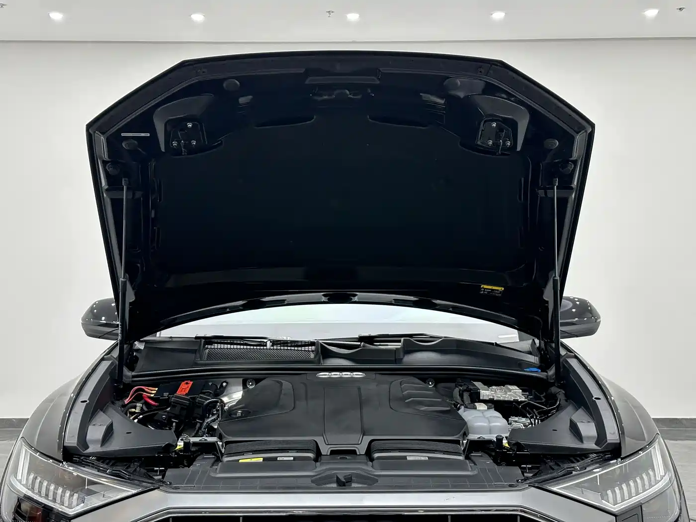 Audi Q8 2022 45 TFSI Luxury Dynamic фото 22