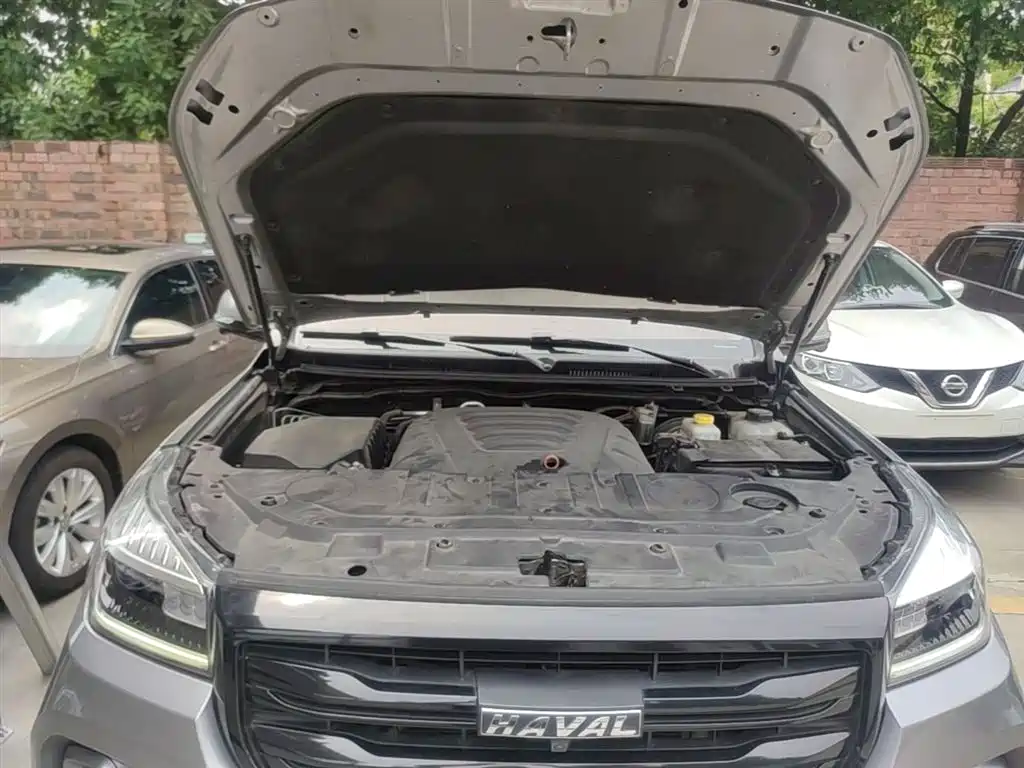 Haval H9 2020 2.0T Gasoline 4WD Premium 5-Seater фото 20