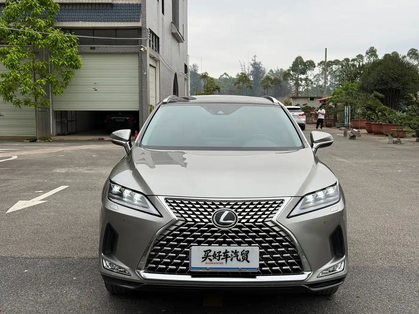 Lexus RX 2021 300 AWD Special Edition фото 2