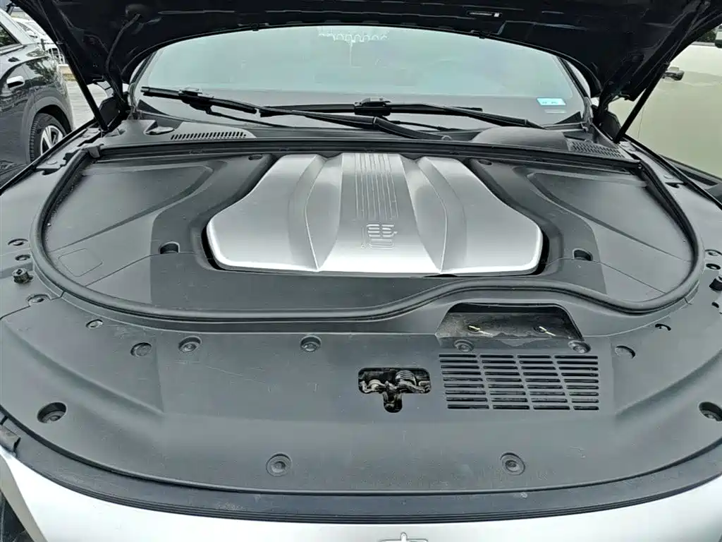 BYD Tang New Energy 2022 EV 730KM Premium фото 20