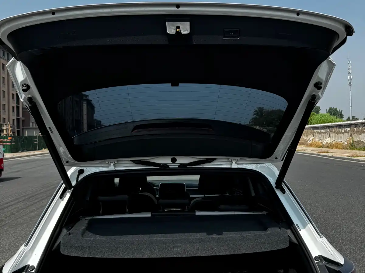 Volkswagen T-ROC 2023 300TSI DSG 2WD Dawn Edition фото 23