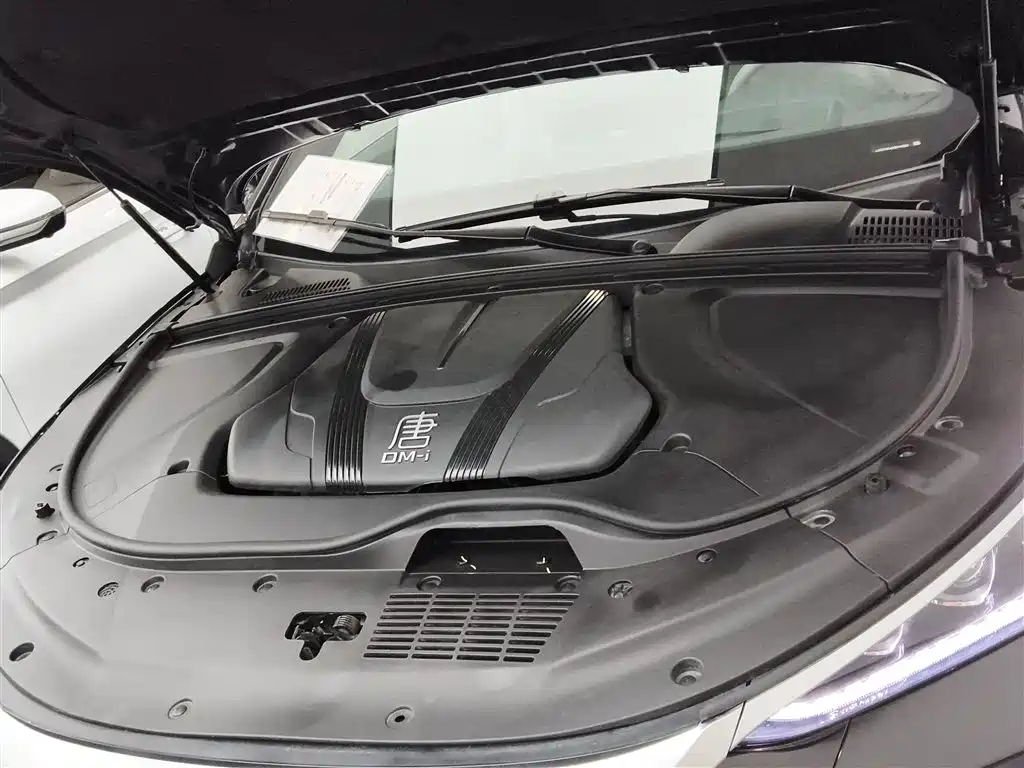BYD Tang New Energy 2025 Smart Driving Edition DM-i 115KM Flagship фото 16