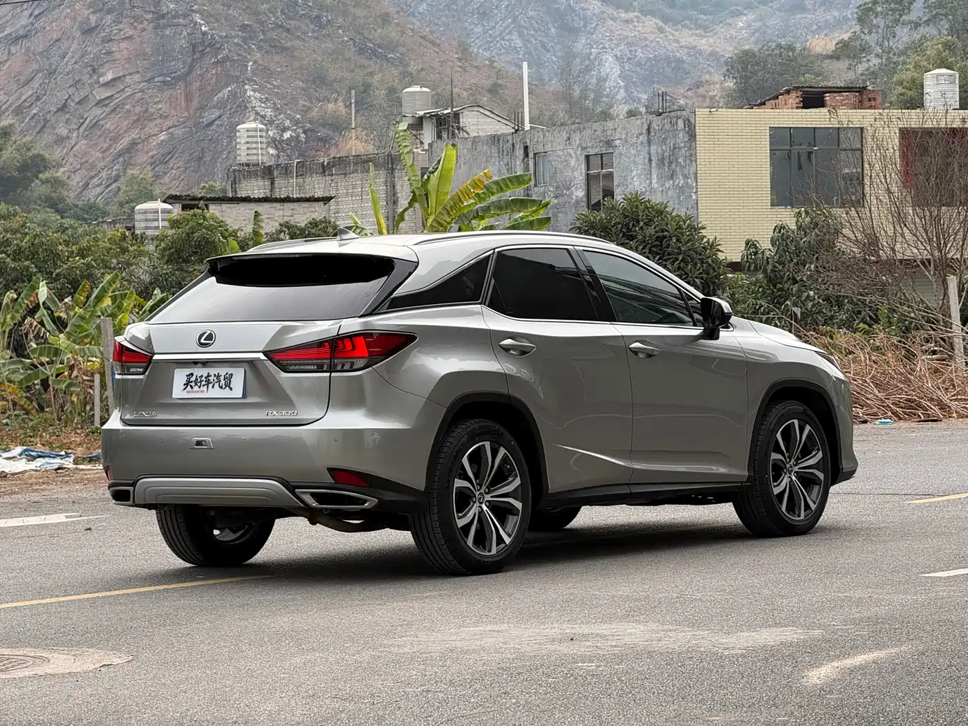 Lexus RX 2020 300 4WD Elegance Edition China VI фото 11