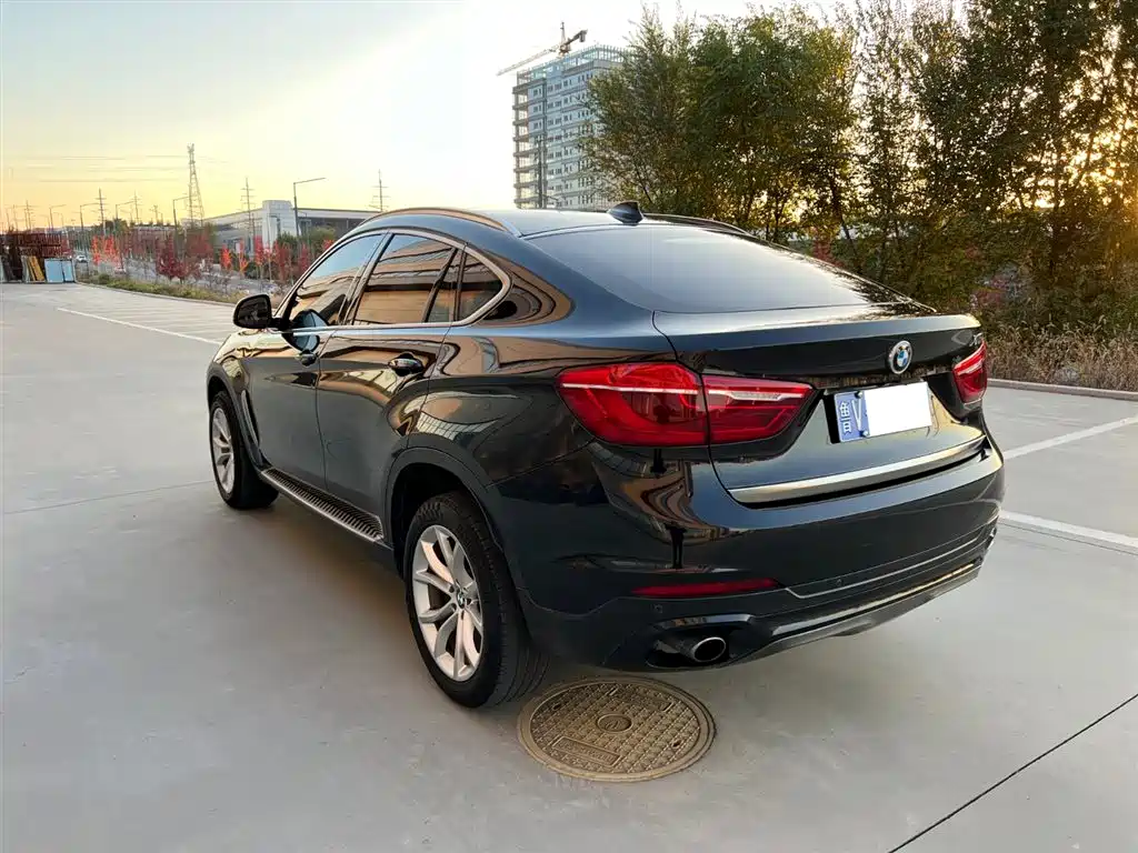 BMW X6 2018 xDrive28i фото 5