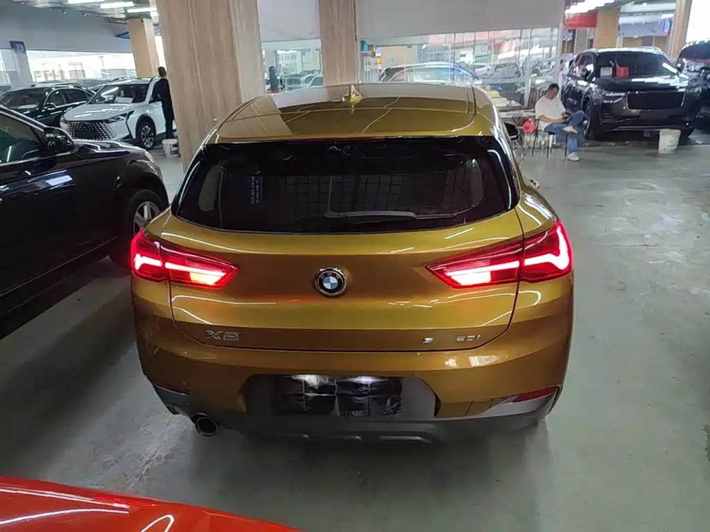 BMW X2 (Import) 2019 sDrive20i M Off-Road Package China VI фото 6