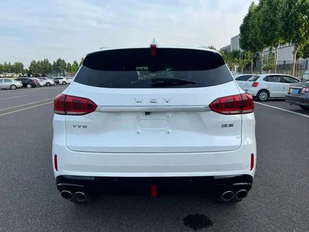 Фото 4 - WEY VV6