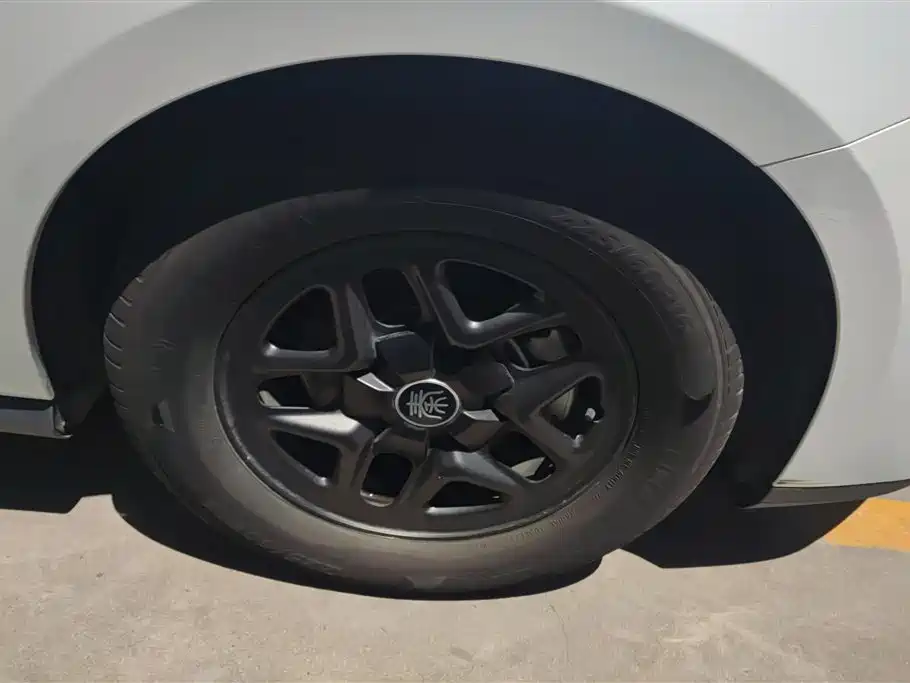 BYD Qin PLUS 2025 DM-i Smart Drive 55KM Leader фото 6