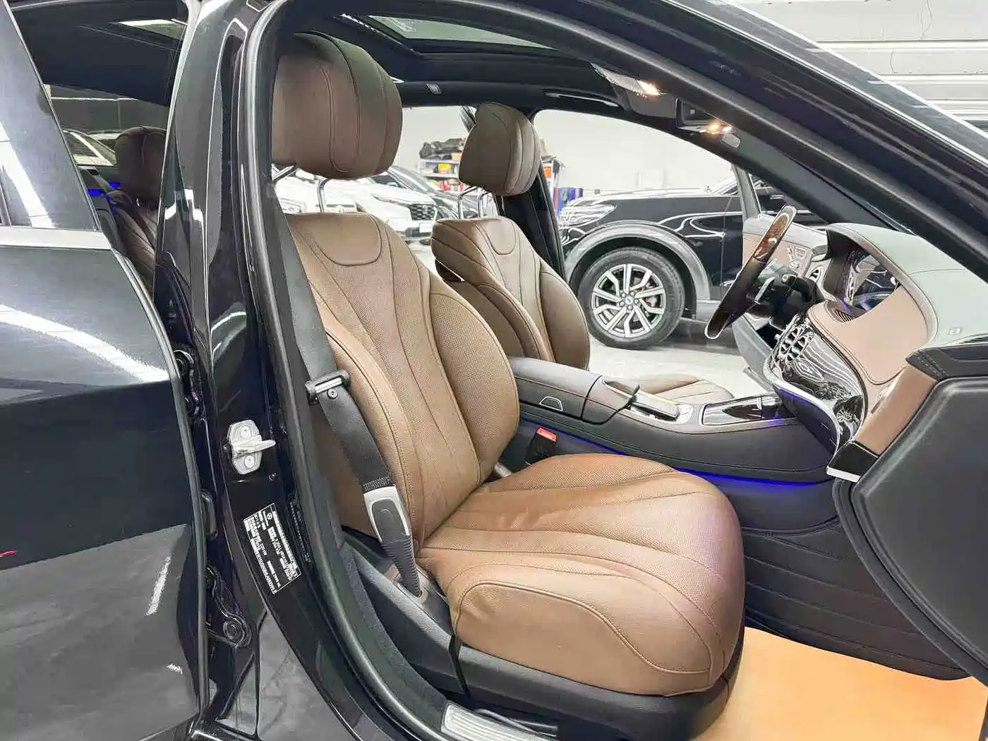Mercedes-Benz S-Class 2020 S 350 L Premium Edition Collector's Version фото 15