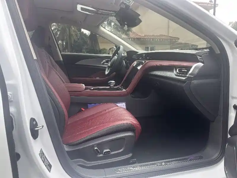 Hongqi H5 2023 2.0T Auto Smart Connect Flag Comfort фото 4