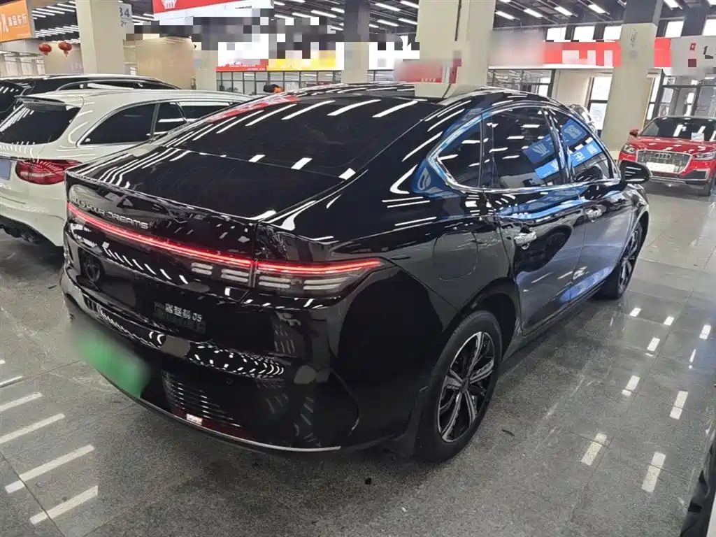 BYD Destroyer 05 2024 Glory Edition DM-i 120KM Luxury фото 7