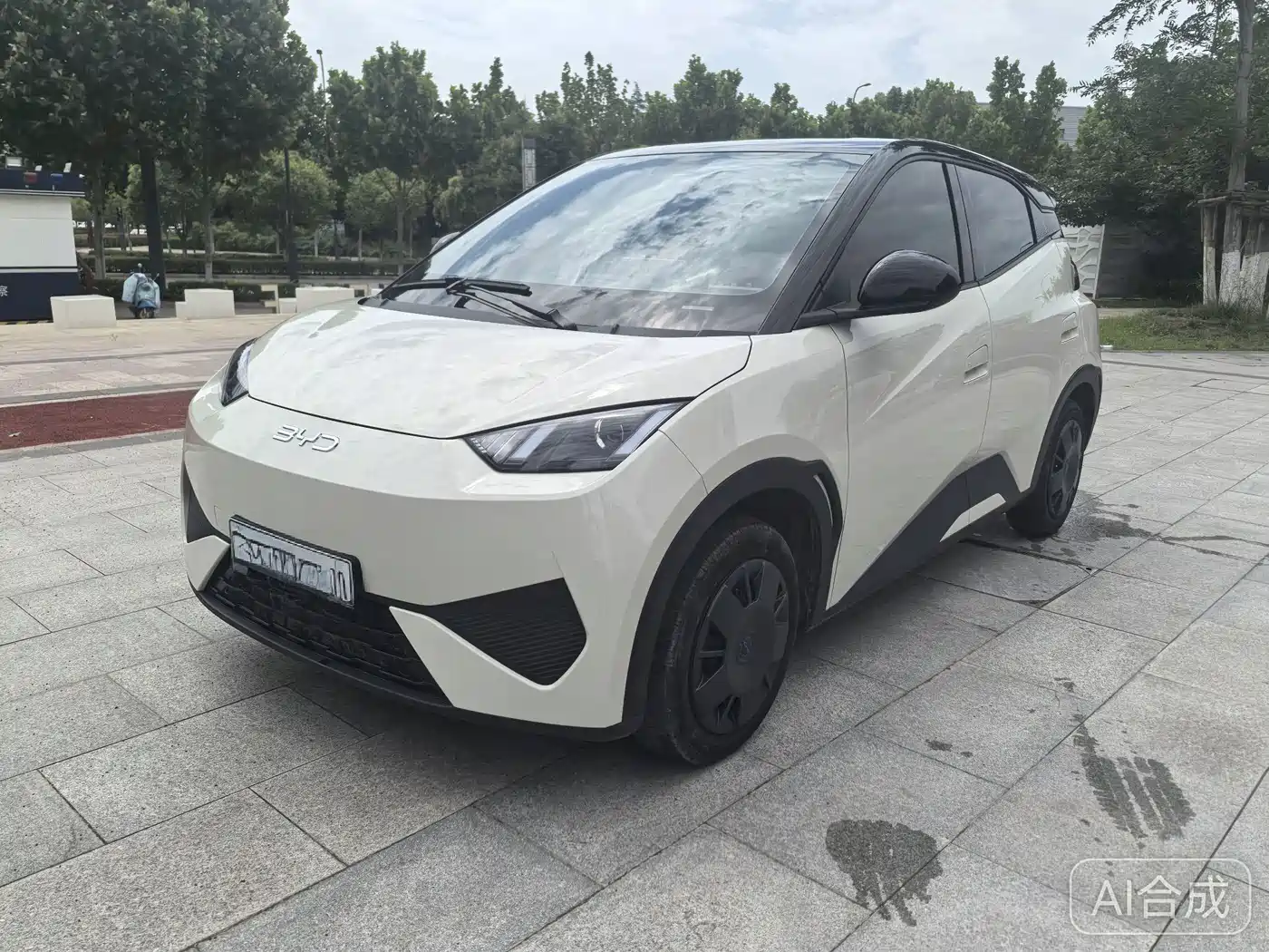 BYD Seagull 2025 Smart Drive Edition 305km Vitality Version